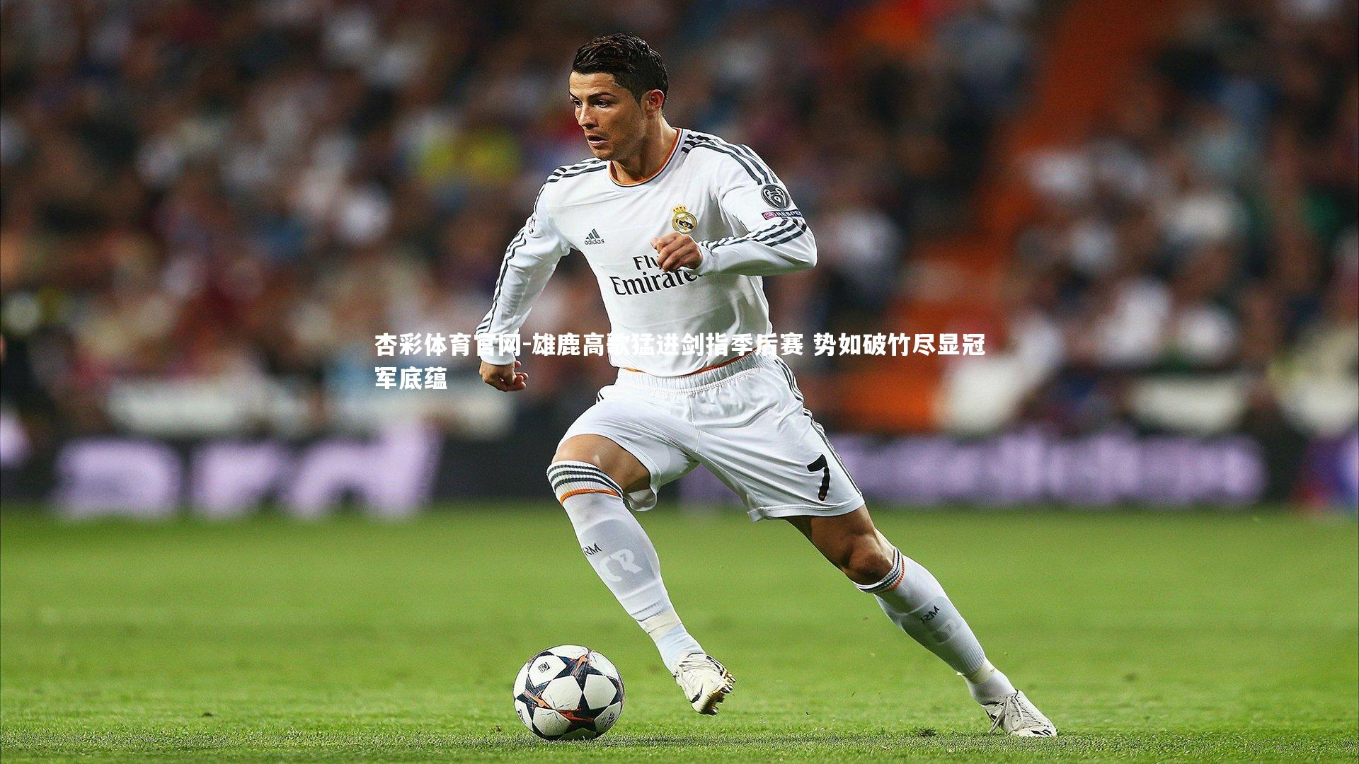 雄鹿高歌猛进剑指季后赛 势如破竹尽显冠军底蕴